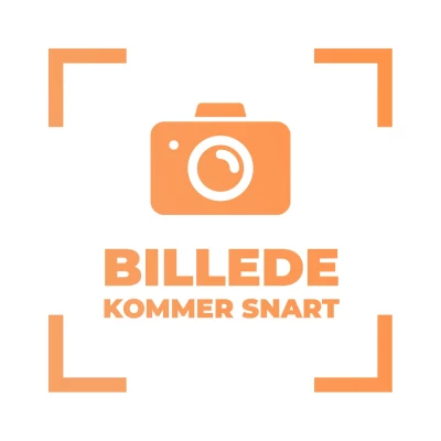 Faber Smart Home Domotics Box - Køb nu Faber Smart Home Domotics Box til hybridpejs - Smarthome integration